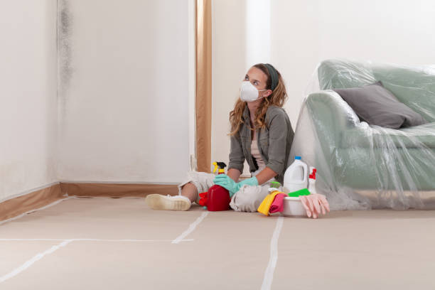 Reliable Mold Testing contractor in Warwick, MD by WQB Mold Removal