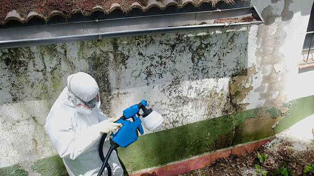 Top rated local Mold Testing specialists in Warwick, MD